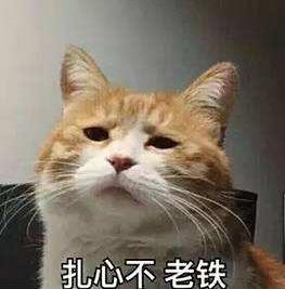 初夏的邂逅，来《姬魔恋战纪》约会各路女神 (1)