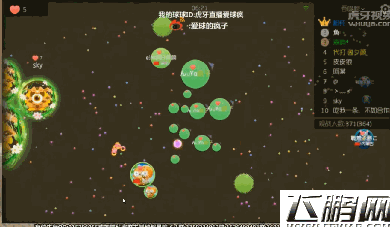 球球大作战生存不能合作了  这些虎牙大神向来单打独斗 (3)