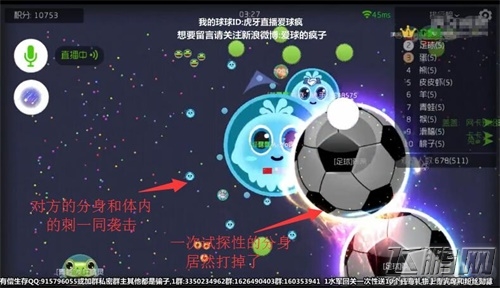 一切都是球球大作战的阴谋虎牙直播疯子遭遇生死迷局 (5)