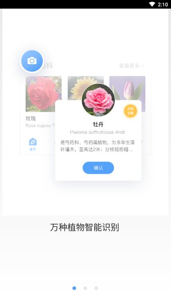 花伴侣