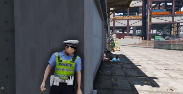 街头巡逻 (1)