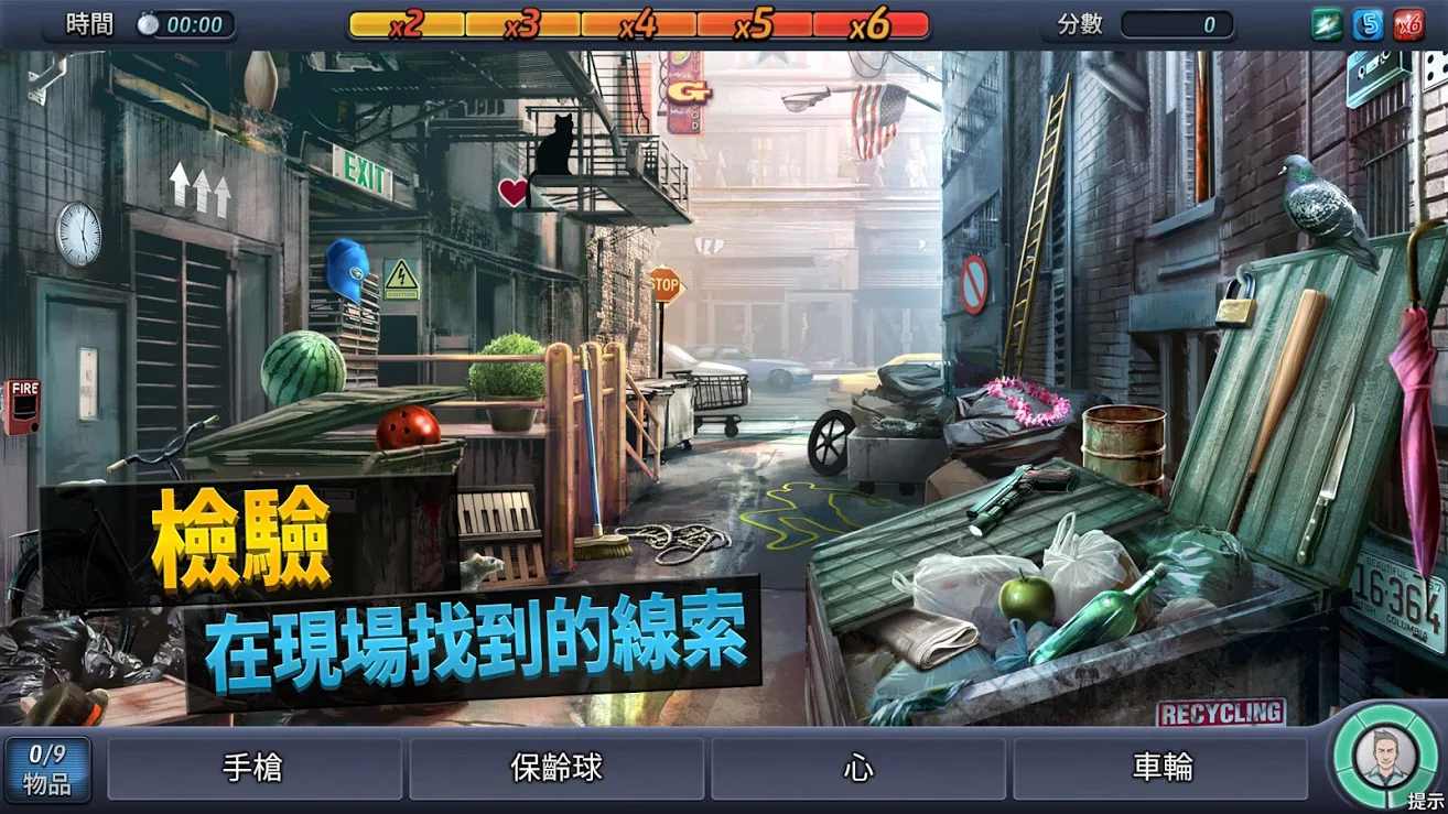 Criminal Case（刑事案件）
