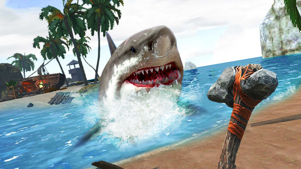鲨鱼大冒险