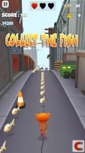 垃圾猫赛跑(Animals Runner)