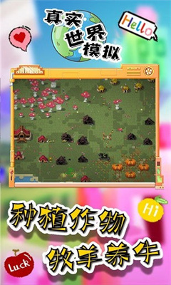 真实世界模拟器