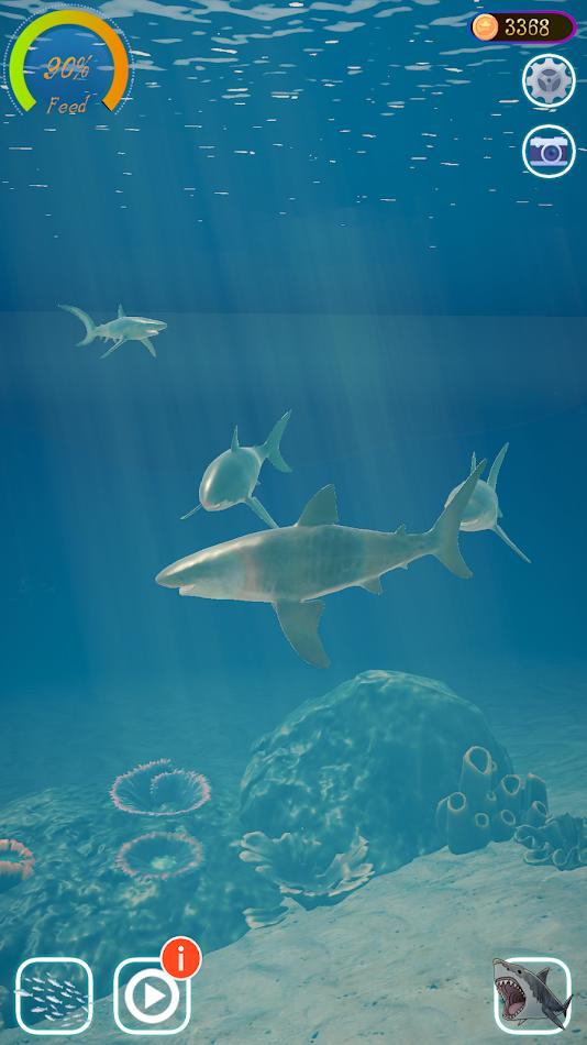 鲨鱼海洋（Shark）