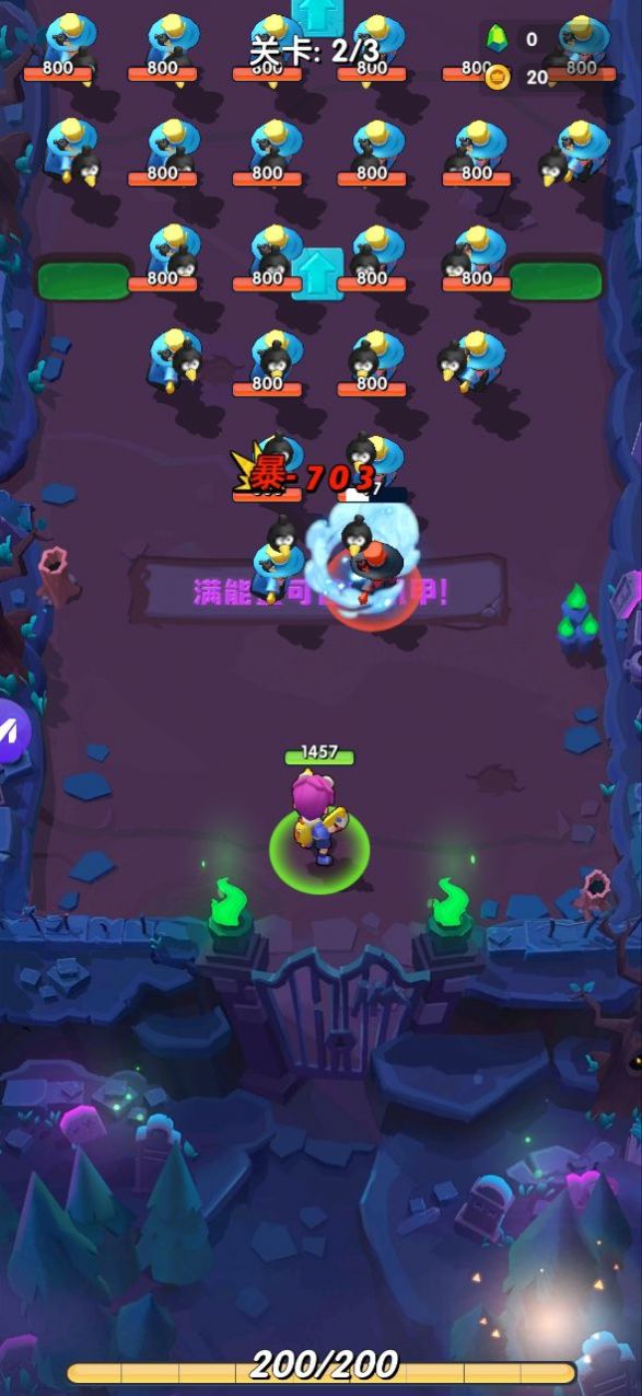  (2)