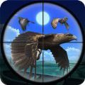 鸟类狩猎挑战(Bird Hunting Challenge)