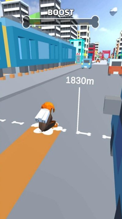 狗狗极限跳跃 (3)