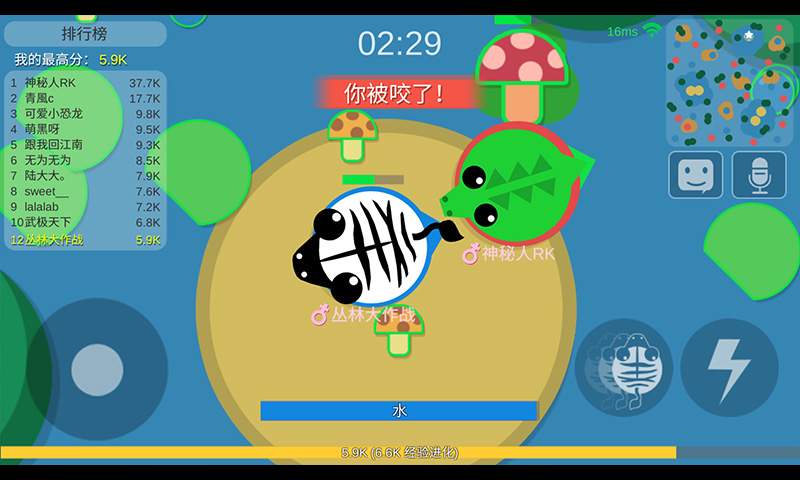 丛林大作战正版下载