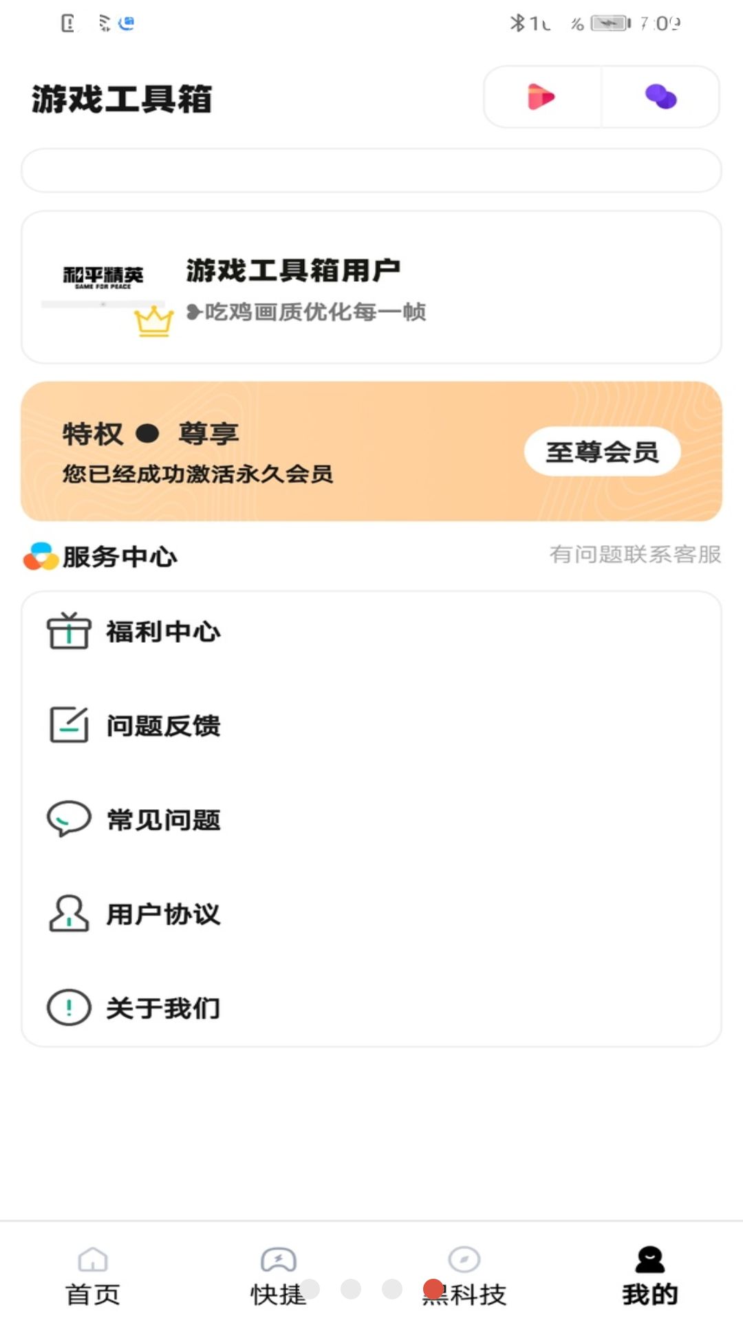 吃鸡工具箱美化包 (4)
