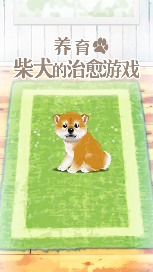 养育柴犬的治愈游戏