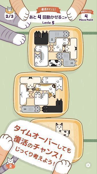 猫猫睡觉觉 (1)