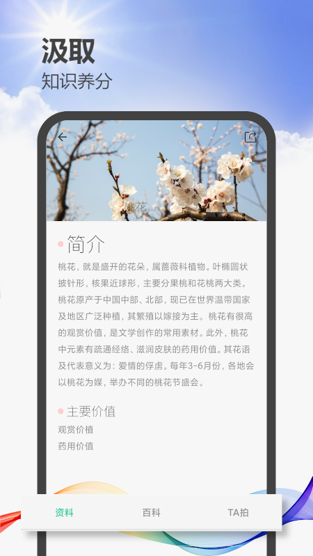 拍照识图助手