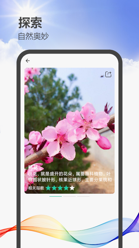 拍照识图助手