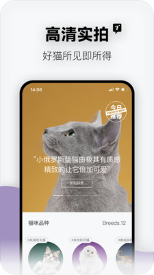 随它