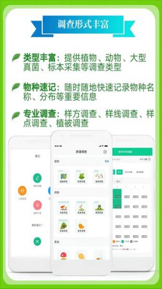 北极花生物调查app官方版