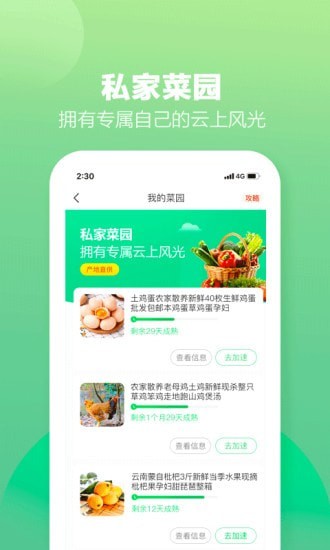 土淘金app