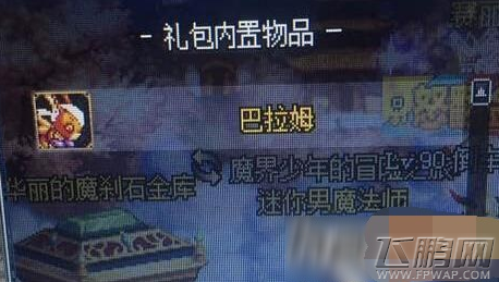 DNF特别宠物礼盒是什么 DNF特别宠物是什么 (2)