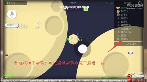 球球大作战技术进阶图解 虎牙直播疯子手术刀级操作 (5)
