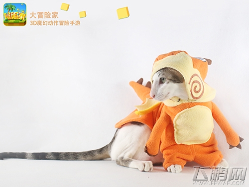 《大冒险家》手游百种萌宠等你挑选! (3) 《大冒险家》手游百种萌宠等你挑选! (3)