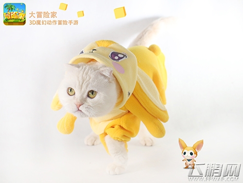 《大冒险家》手游百种萌宠等你挑选! (2) 《大冒险家》手游百种萌宠等你挑选! (2)