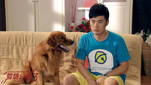 《爱情公寓II》封测大盘点，换装系统高度还原电视剧 (10)