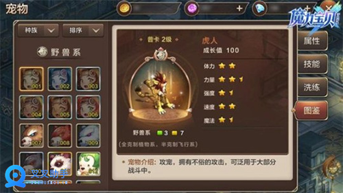 魔力宝贝手机版经典回合制 叉叉助手辅助极速升级 (3)