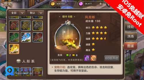 魔力宝贝手游风龙翼龙攻略 叉叉助手辅助刷金卡宠 (2) 魔力宝贝手游风龙翼龙攻略 叉叉助手辅助刷金卡宠 (2)