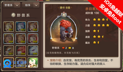 魔力宝贝手游云端挂机刷声望 叉叉云游无限多开过日常 (2)