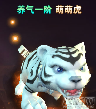 魔法王座萌萌虎属性怎么样 高属性宠物萌萌虎攻略 (3)