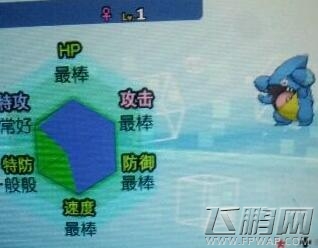 口袋妖怪日月孵蛋冷门实用小技巧 (1)