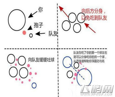  (2)