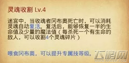 不思议迷宫前期培养谁好 前期冈布奥培养攻略 (8)