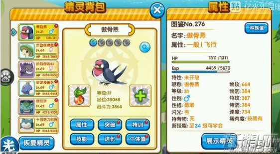 口袋妖怪复刻中后期强攻燕捉宠详细步骤 (1)