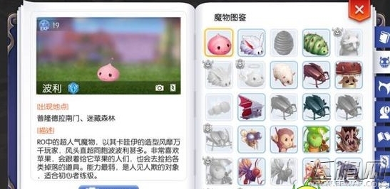 仙境传说ro守护永恒的爱魔物图鉴怎么解锁 魔物图鉴解锁介绍 (1)