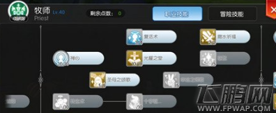仙境传说RO守护永恒的爱神官怎么加点 神官最全加点攻略 (1)