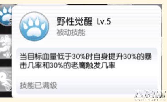仙境传说RO手游测试服新增技能解读 猎人宠物流或成最大赢家 (1)
