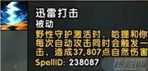 魔兽世界7.2兽王猎神器怎么加点 兽王猎神器加点攻略 (6)