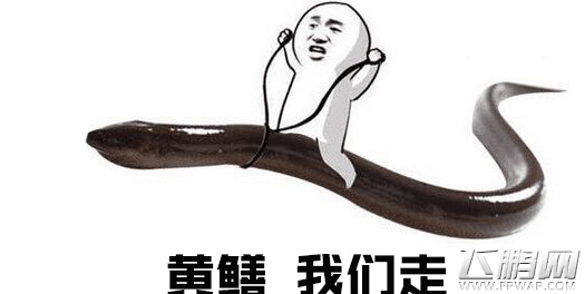 魔兽世界7.2黄鳝坐骑谜语人的灵蛇详细位置及获取途径 (2)