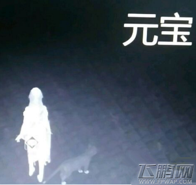 天涯明月刀寻找走失的小猫在哪 小猫元宝位置坐标是多少 (1)
