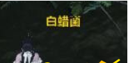 天涯明月刀草木图鉴任务完成攻略 白芸豆收集地点在哪 (1)