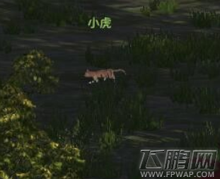 天涯明月刀江畔渔女任务怎么做 江畔渔女任务完成攻略 (4)