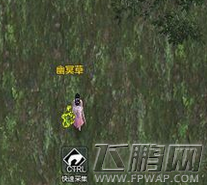 天涯明月刀幽冥草在哪 幽冥草图鉴解锁攻略 (1)