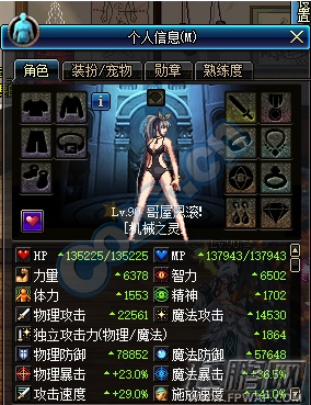 DNF奶爸奶妈顶级装备奶量有多少 奶爸奶妈顶级装备奶量检测 (5)