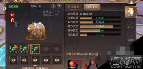轩辕传奇手游最强SS级宠物选择搭配攻略 SS级宠物哪只最强 (1)