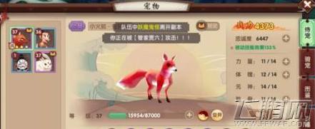 寻仙手游小火狐在哪里 小火狐出现位置及抓捕攻略 (1)