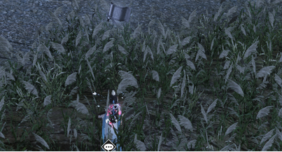 天涯明月刀以雁为媒大雁在哪 以雁为媒大雁坐标详解 (1)
