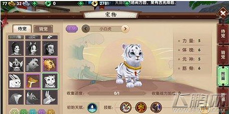 寻仙手游坐骑小白虎获取方法介绍 小白虎属性技能及获取 (3)