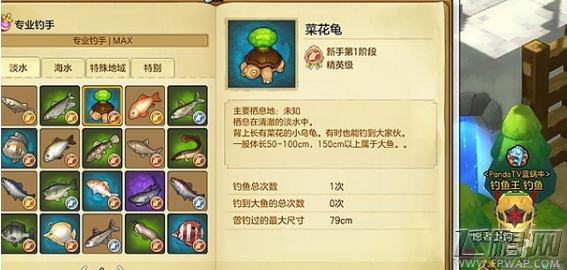 冒险岛2隐藏钓鱼地点大全 隐藏钓鱼地点汇总 (4)